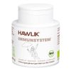 Bio Immunsystem Vitalpilzmischung