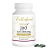 Cellufine Jod aus Seetang