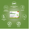 DR. B&ouml;hm Darm aktiv, 6x6,3 g, Apomedica Pharmazeutische Produkte GmbH