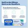 Dentinox Zahncreme Mundflora Kids, 75 ml, Dentinox Gesellschaft f&uuml;r pharmazeutische Pr&auml;parate