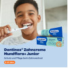 Dentinox Zahncreme Mundflora Junior, 75 ml, Dentinox Gesellschaft für pharmazeutische Präparate