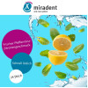 MIRADENT AQUAMED STRIPES, 24 st, Hager Pharma GmbH