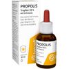 beecraft Propolis Tropfen 55% plus Echinacea