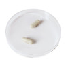 AVEA NAD+ VITALISER, 30 st, JDS Distribution B.V.