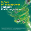 Meditonsin Extract Pflanzl. Erk&auml;ltungstabl., 60 Stk., Medice Arzneimittel P&uuml;tter GmbH & Co. KG