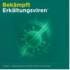 Meditonsin Extract Pflanzl. Erk&auml;ltungstabl., 60 Stk., Medice Arzneimittel P&uuml;tter GmbH & Co. KG