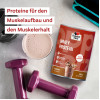 Doppelherz Whey Protein Schoko-Geschmack, 300 g, Queisser Pharma GmbH & Co. KG