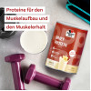 Doppelherz Whey Protein Vanille-Geschmack, 300 g, Queisser Pharma GmbH & Co. KG