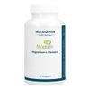 Magtein Magnesium L-Threonat 2003 mg vegan