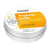 Propolis Salbe intensiv Repair & Protect, 40 Milliliter, Casida GmbH