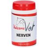 VulcanoVet Nerven