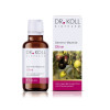 Gemmo-Mazerat Olive Dr. Koll Olea europaea