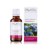 Gemmo-Mazerat Heidelbeere Dr. Koll Vacci.myrtillus