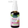 Kneipp Vitamin B12 Energie Spray