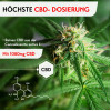 RubaXX CBD Gel Plus, 160 ml, PharmaSGP GmbH