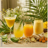 Aloe vera-Gel-Saft Ingw.Kurk.Kam. Bio Dr. Jacob's, 1000 ml, Dr. Jacob's Medical GmbH