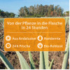 Aloe vera-Gel-Saft Ingw.Kurk.Kam. Bio Dr. Jacob's, 1000 ml, Dr. Jacob's Medical GmbH