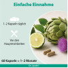 Leber forte Bergamot Mariendistel Cholin Dr Jacobs, 60 Stk., Dr. Jacob's Medical GmbH