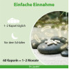 Zen Biotics Darmflora-Bakterien + GABA Dr. Jacob's, 60 Stk., Dr. Jacob's Medical GmbH