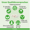 Zen Biotics Darmflora-Bakterien + GABA Dr. Jacob's, 60 Stk., Dr. Jacob's Medical GmbH
