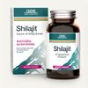 GSE Shilajit