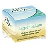 Anifer&reg; Lippenbalsam
