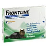 Frontline Spot Katze