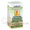 hafesan&reg; S&auml;gepalme forte