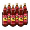 Rabenhorst Gesunde Knochen 6x700 ml Saft