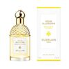 Guerlain Aqua Allegoria Bergamote Calabria Eau De Toilette Spray, 75 ml, Guerlain