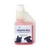 tierisch lang leben Vitamin B12 mit Magnesium für Hund und Katze, 250 ml, tierisch lang leben