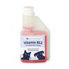 tierisch lang leben Vitamin B12 mit Magnesium für Hund und Katze 250 ml