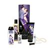 6-teiliges Massage-Set mit Öl, Creme, Oralsex-Lipgloss und Perlenkette | 6-teilig | Shunga, 1 st, Shunga