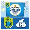 Cottonelle Feuchtes Toilettenpapier Mizellenwasser & Baumwollduft