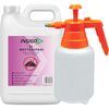 INSIGO Mottenspray