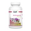 HEALTH+ ASTRAGALUS, 90 st, Health+