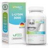 Vitamin L-Lysine 3000 100 St Kapseln