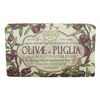 Nesti Dante Seife Olivae - Olivae di Puglia