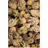 Kaktusblüten Salbe 30g, 30 g, Hofapotheke St. Afra