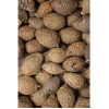 Sterkuliensamen Tropfen - Tinktur 500ml, 500 Milliliter, Hofapotheke St. Afra