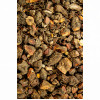 Kanadische Blutwurz 250g, 250 Gramm, Hofapotheke St. Afra