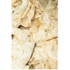 Holzschmetterlingssamen 50g