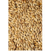 Malz Salbe 100g
