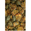 Saftkugler Salbe 200g
