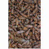 Kiefernsprossen Salbe 100g, 100 g, Hofapotheke St. Afra