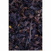 Beerentang 500g, 500 g, Hofapotheke St. Afra