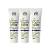 Urtekram Zahncreme Mint und Aloe Vera Zahnpasta mit Fluorid 3x75 ml Tube