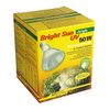 Lucky Reptile - Bright Sun UV Jungle 1 St