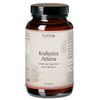 Erdling BIO Kraftpilze Athena – Vitalpilz Synergetikum 120 St Kapseln