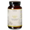 Erdling BIO Kraftpilze Flora &ndash; Vitalpilz Synergetikum 120 St Kapseln